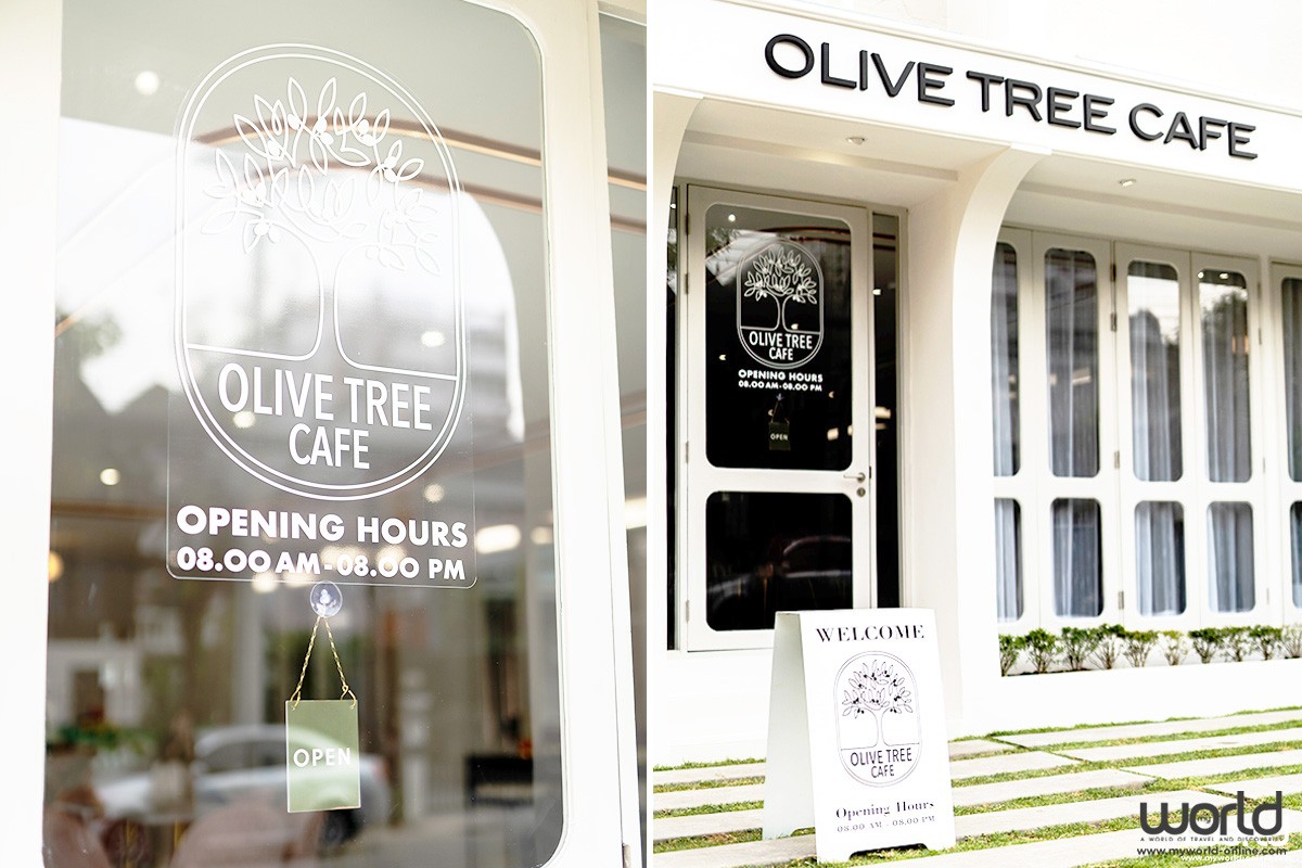 OLIVE TREE CAFE (เชียงใหม่)