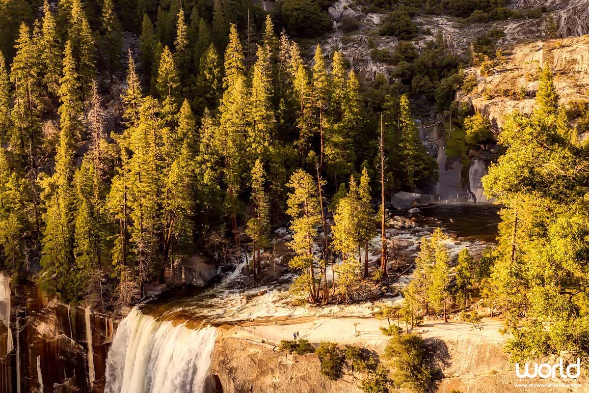 Immerse in Nature at Yosemite National Park