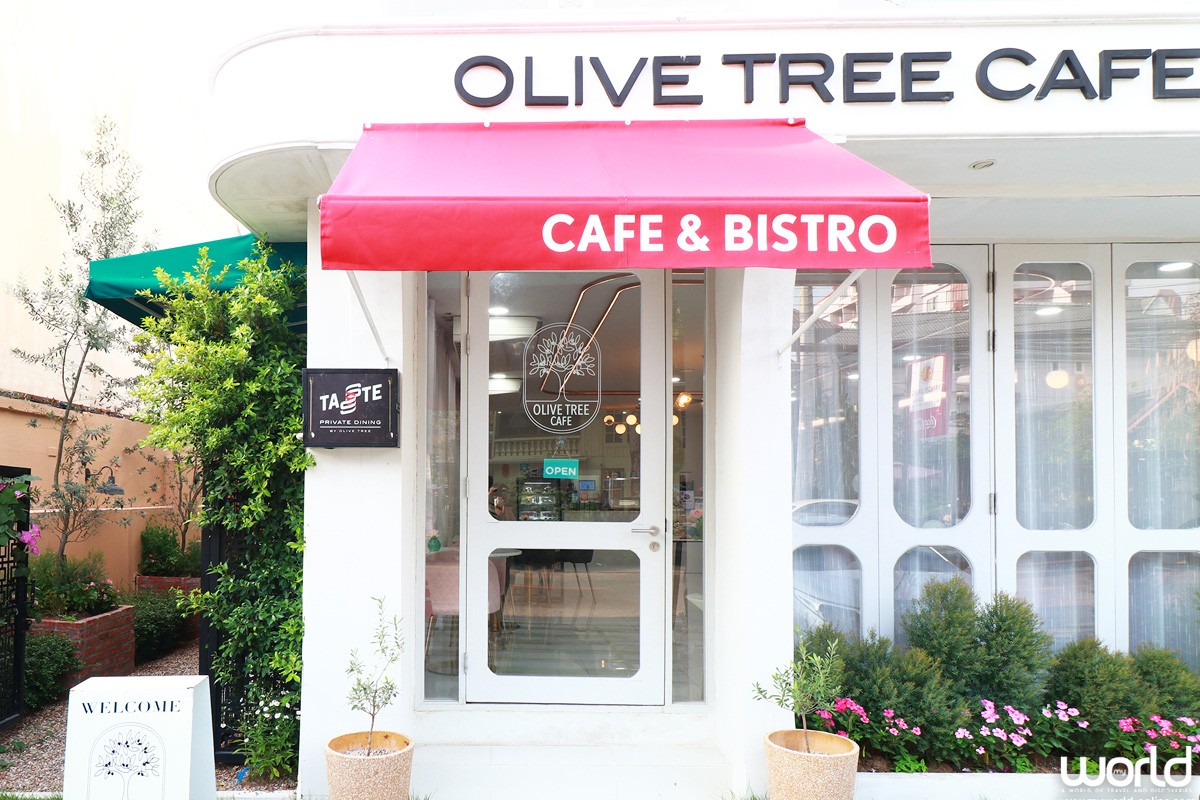 Olive Tree Cafe โดดเด่นกับคาเฟ่ที่มีต้นมะกอก อายุมากกว่า 300 ปี และสระน้ำสุดคูล ที่ใครๆ ก็ต้องเช็คอิน